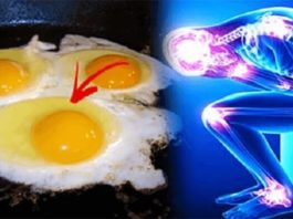 Знаете ли Вы, что может произойти, если съедать по 3 яйца в день?