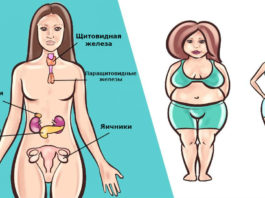 Есть 6 гормонов, которые мешают вам похудеть. Вот что делать с каждым из них