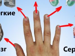 Каждый палец сопряжен с двумя органами: японский метод излечит за 5 минут любую хворь!