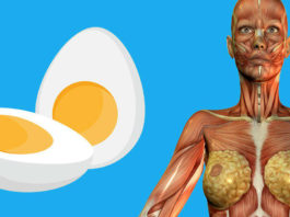 9 вещей, которые произойдут с вашим телом, если стать есть по 2 яйца на завтрак